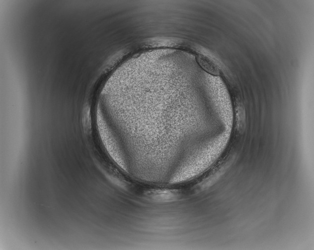 X0000111840254200908131424