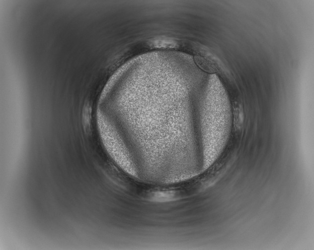 X0000111840263200908131425