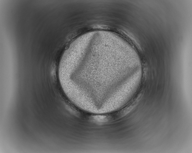 X0000111840265200908131425