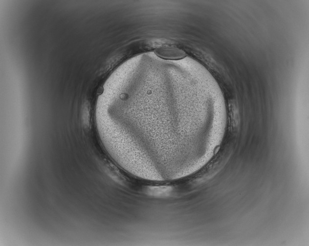 X0000111840266200908131425