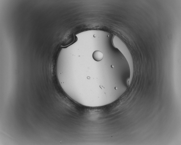 X0000111840268200908131425