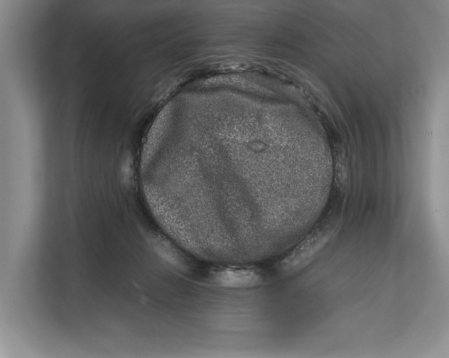 X0000111840270200908131425