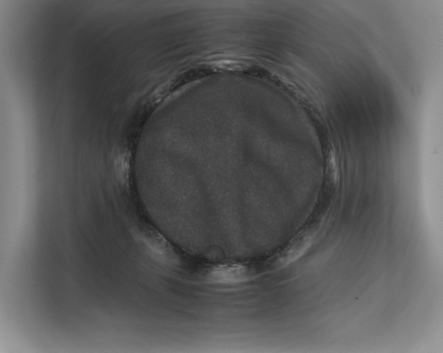 X0000111840271200908131425