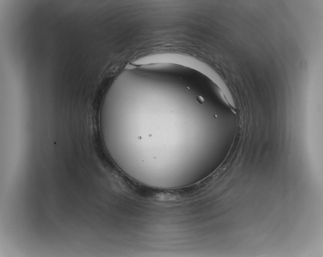 X0000111840272200908131425