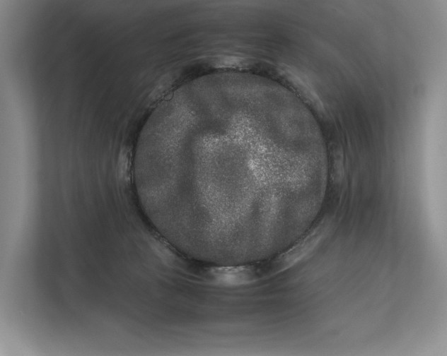 X0000111840273200908131425