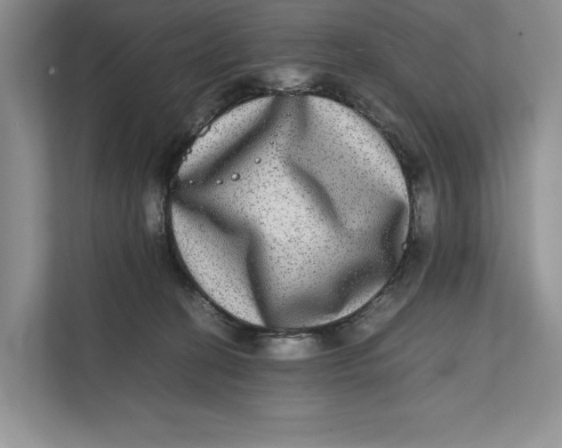 X0000111840274200908131425