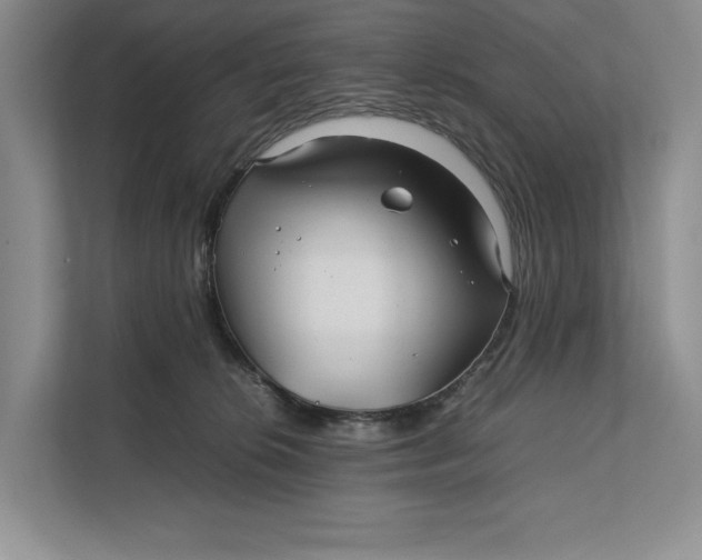 X0000111840276200908131425