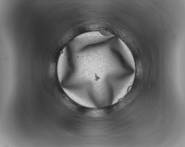 X0000111840278200908131425