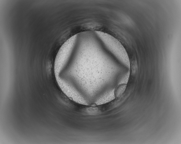 X0000111840279200908131425