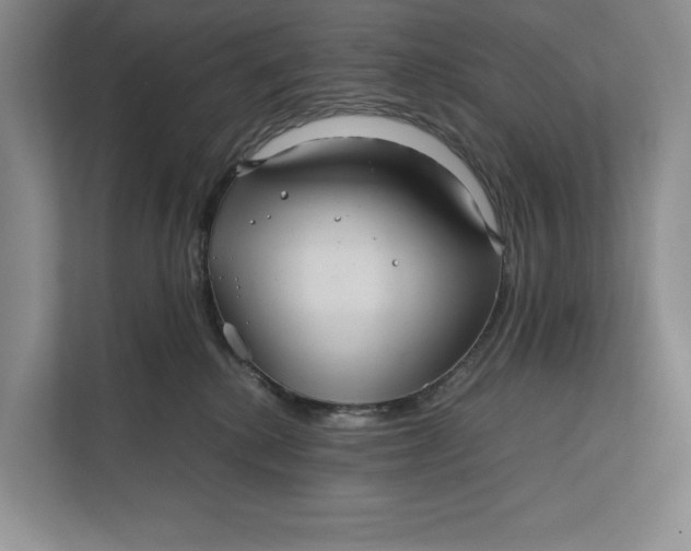 X0000111840280200908131425