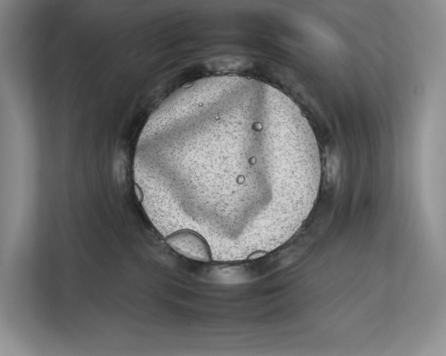 X0000111840283200908131425