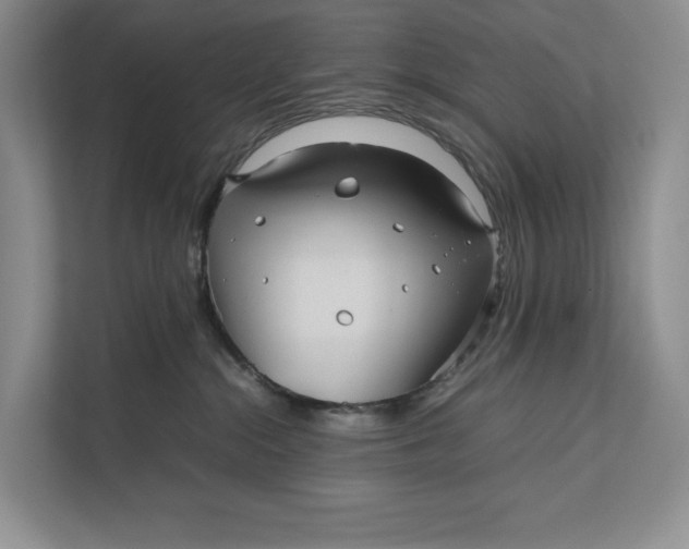 X0000111840284200908131425