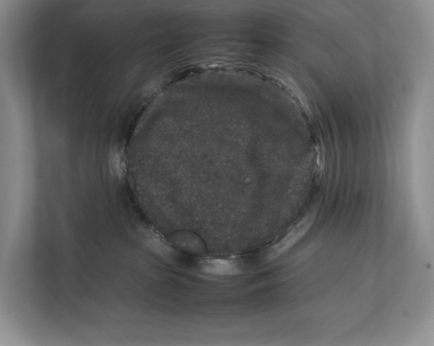 X0000111840285200908131425