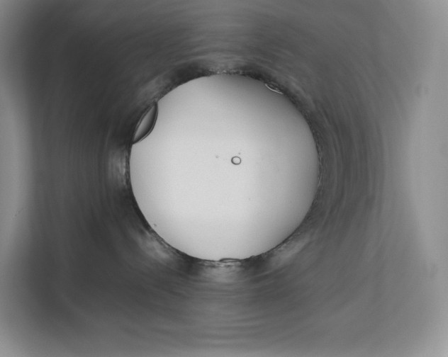 X0000111840288200908131425