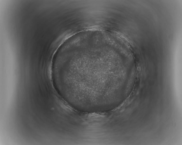 X0000111840290200908131424