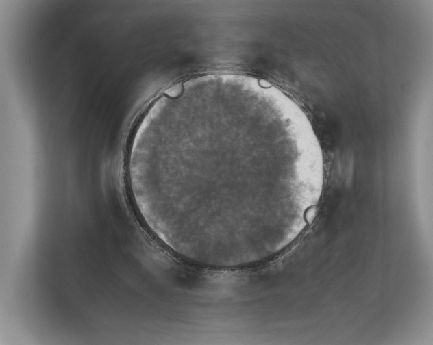 X0000111840293200908131424