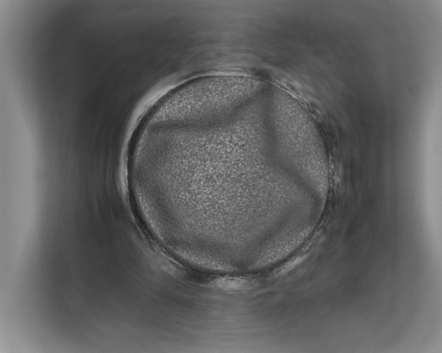 X0000111840294200908131424