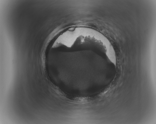 X0000111840295200908131424