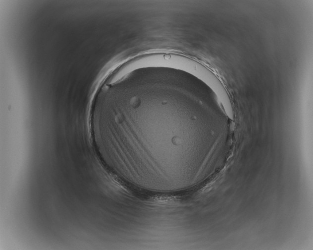 X0000111840296200908131424