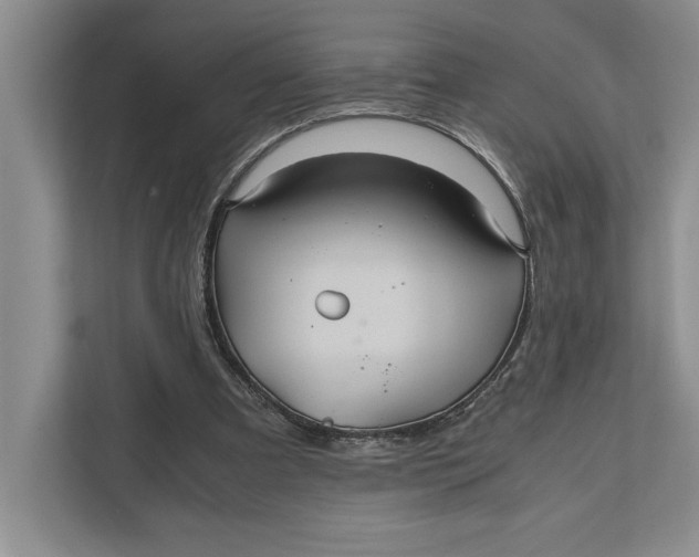 X0000111840297200908131424