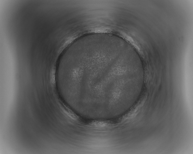 X0000111840299200908131424