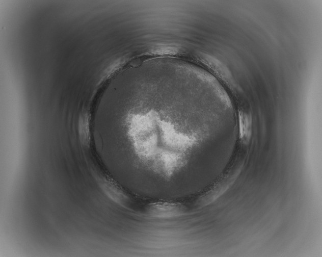 X0000111840300200908131424