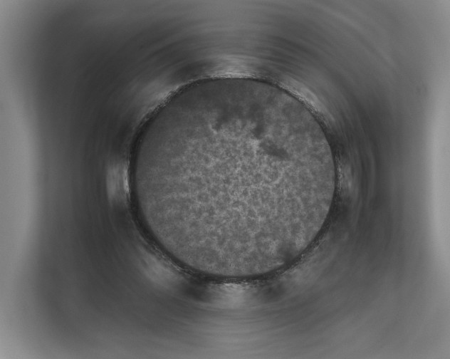 X0000111840302200908131424