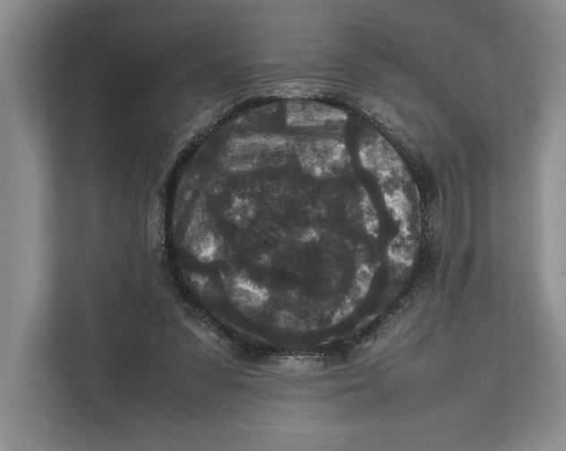 X0000111840303200908131424