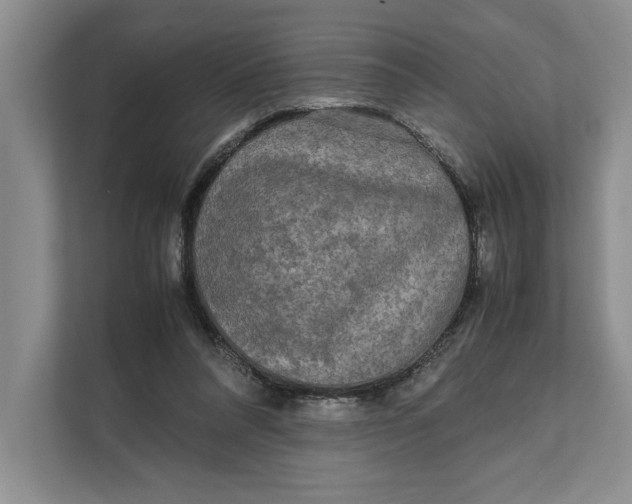 X0000111840304200908131424