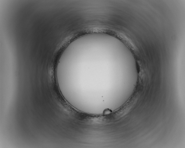 X0000111840306200908131424