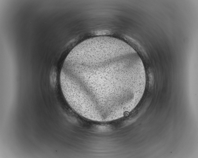 X0000111840308200908131424