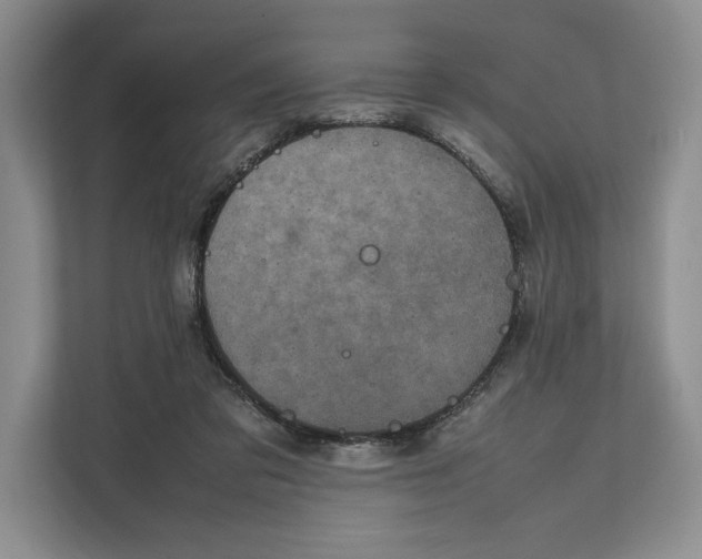 X0000111840309200908131424