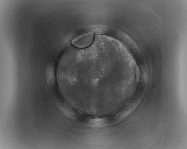 X0000111840312200908131424