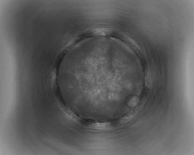 X0000111840314200908131424