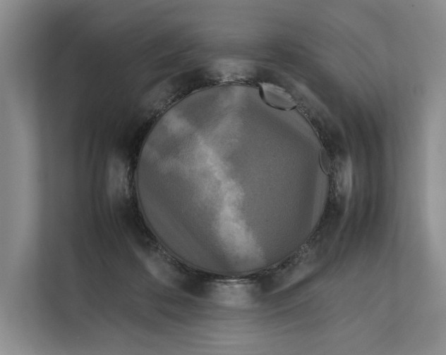 X0000111840316200908131424