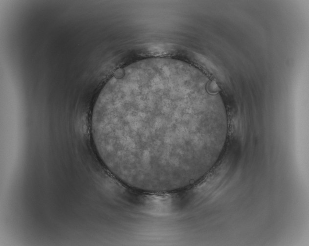 X0000111840317200908131424