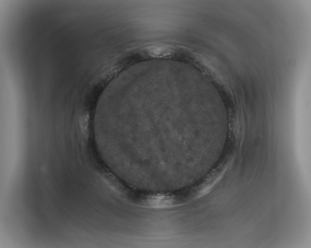 X0000111840319200908131424