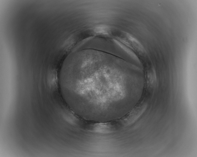 X0000111840320200908131424