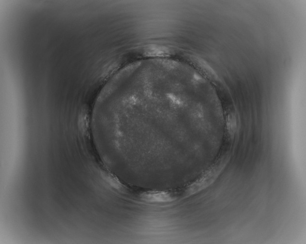 X0000111840322200908131424