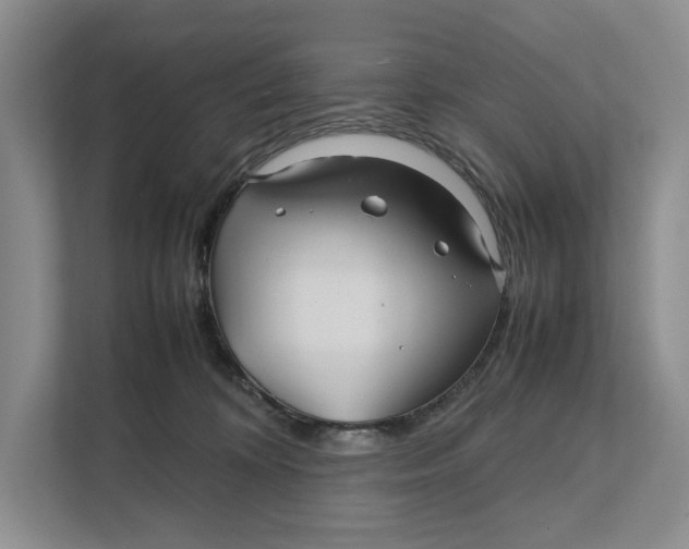 X0000111840324200908131424