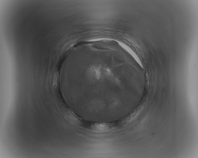 X0000111840325200908131424