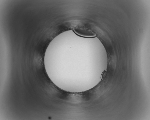 X0000111840327200908131424