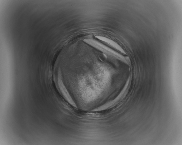 X0000111840328200908131424