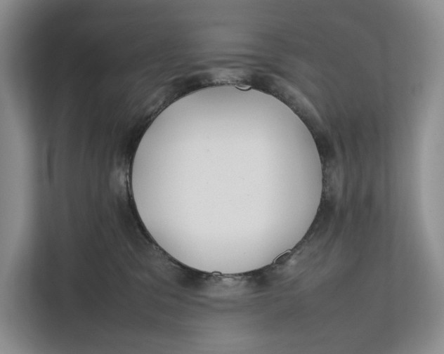 X0000111840329200908131424