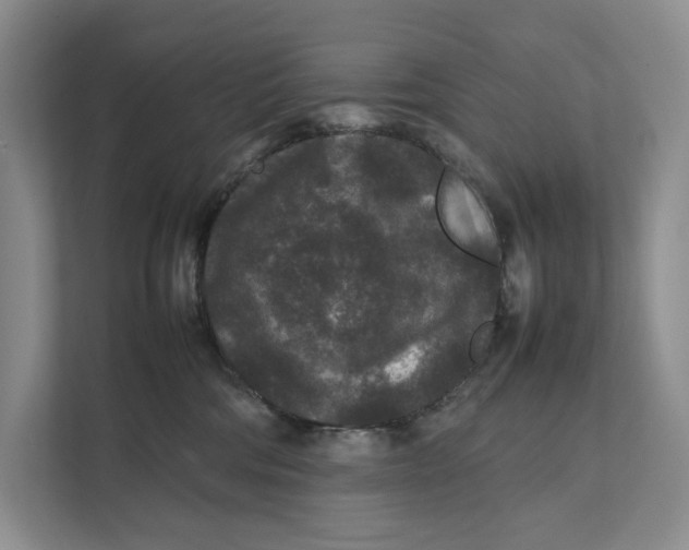 X0000111840330200908131424