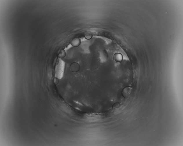 X0000111840331200908131424