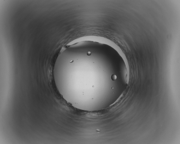 X0000111840332200908131424