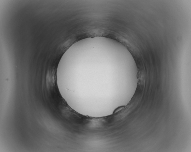 X0000111840334200908131424