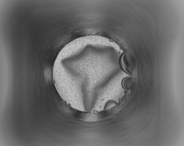 X0000111840335200908131424