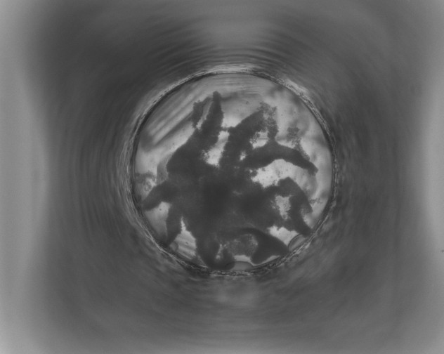 X0000111840337200908131423